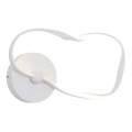 ITALUX - LED sieninis šviestuvas AMAYA LED/20W/230V balta