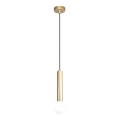ITALUX - Liustra ant laido FILANO 1xG9/5W/230V auksinė