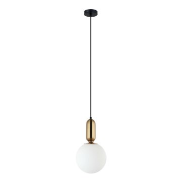 ITALUX - Pakabinamas šviestuvas ant laido ALDEVA 1xE27/40W/230V skersmuo 20 cm juoda/bronzinė