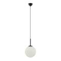 ITALUX - Pakabinamas šviestuvas ant laido DEORE 1xE27/40W/230V skersmuo 25 cm juodas