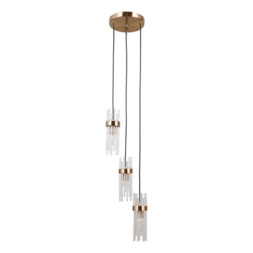 ITALUX - Pakabinamas šviestuvas ant laido TARASO 3xE14/40W/230V auksinis