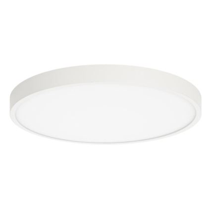 ITALUX - LED lubinis šviestuvas RIBERIO LED/30W/230V 3000K balta