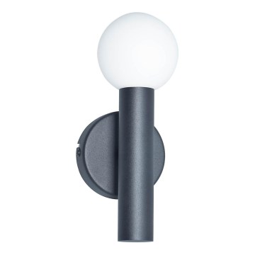 ITALUX - Sieninis šviestuvas FILANO 1xG9/5W/230V juodas