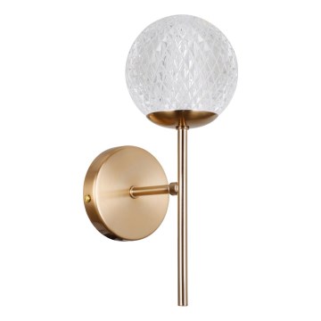 ITALUX - Sieninis šviestuvas PADRI 1xG9/5W/230V auksinis