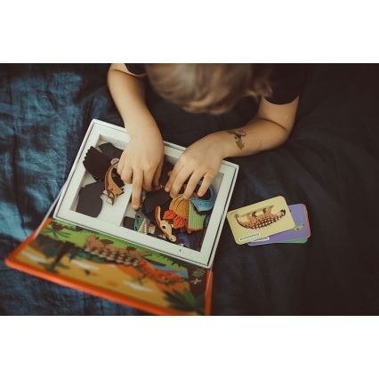 Janod - Magnetinė interaktyvi MAGNETIBOOK rinkinys dinozaurai