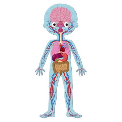 Janod - Vaikiška edukacinė dėlionė 225 vnt žmogaus kūnas