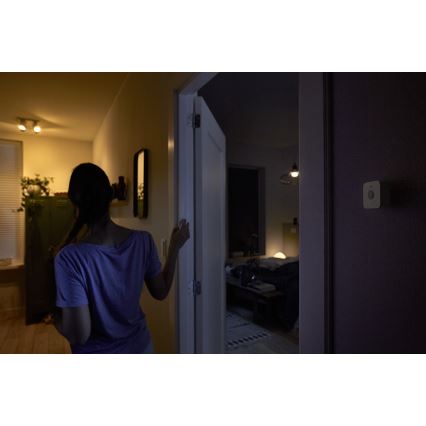 Judesio jutiklis Philips Hue 2xAAA IP42