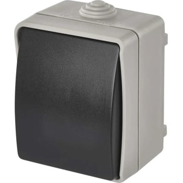 Jungiklis 1-mygtukas IP54