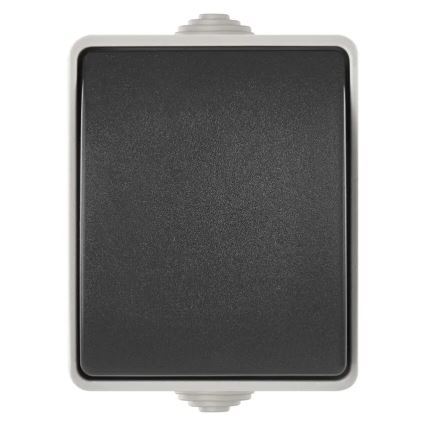 Jungiklis 1-mygtukas IP54