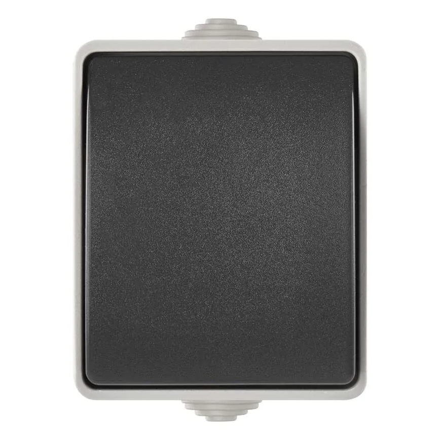 Jungiklis 1-mygtukas IP54