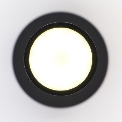Jupiter 2003 - Pakabinamas sietynas ALAS 1xGU10/10W/230V juoda/auksas