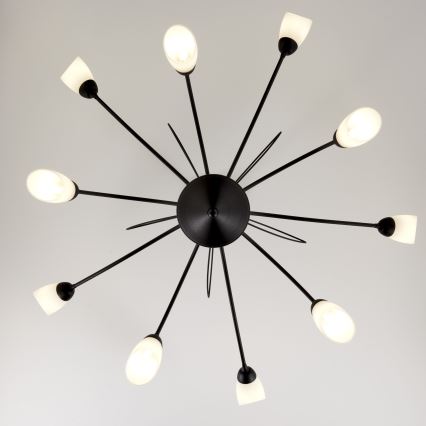 Jupiter 2056 - liustra ant strypo GLORIOSA 10xG9/14W/230V juoda