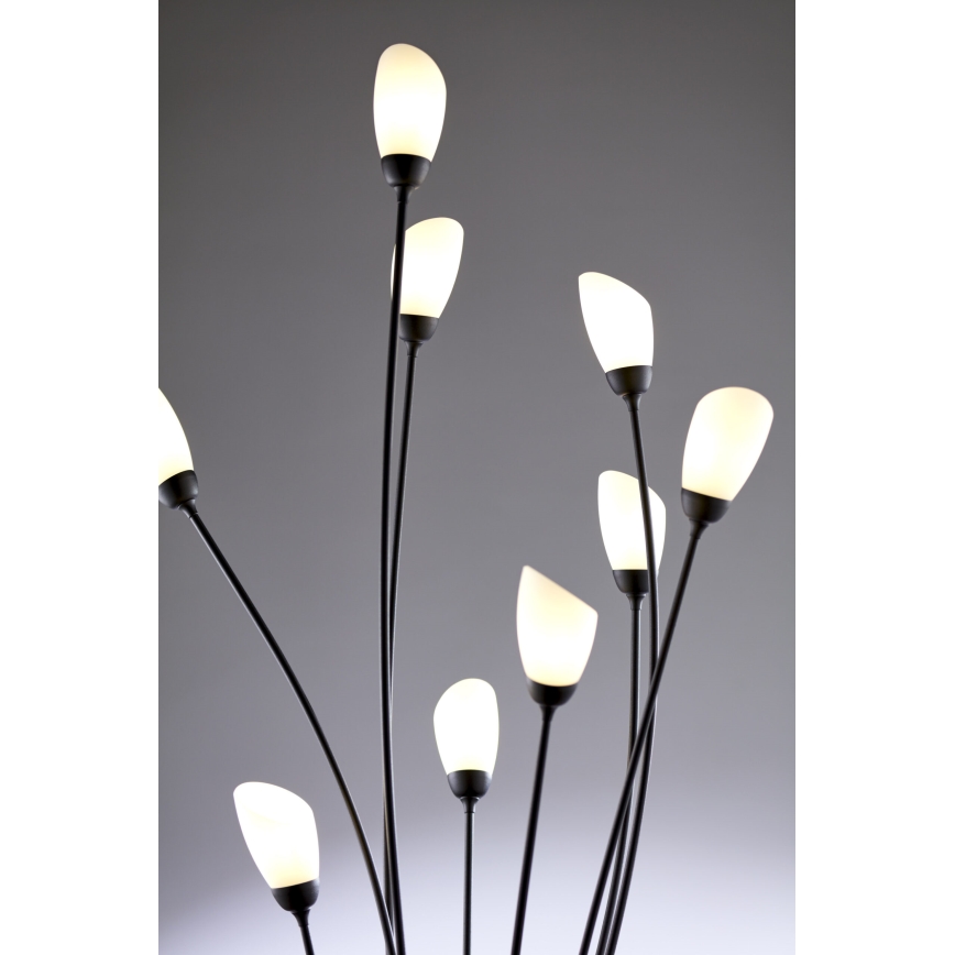 Jupiter 2058 - Toršeras GLORIOSA 9xG9/14W/230V juodas