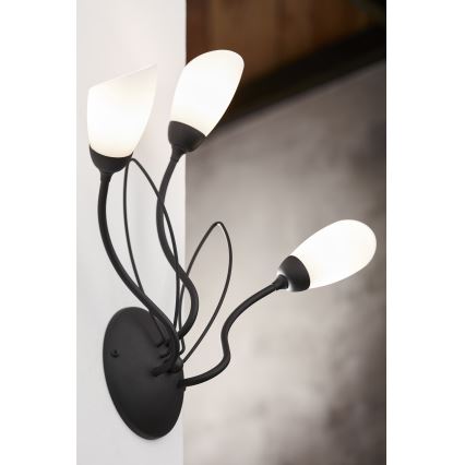 Jupiter 2059 - Sieninis šviestuvas GLORIOSA 3xG9/14W/230V juodas