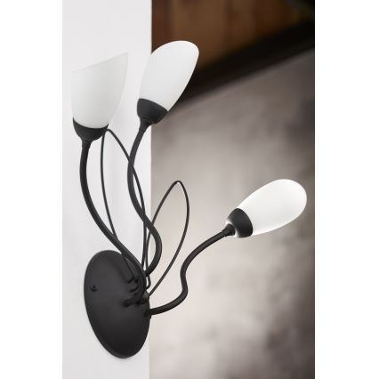 Jupiter 2059 - Sieninis šviestuvas GLORIOSA 3xG9/14W/230V juodas