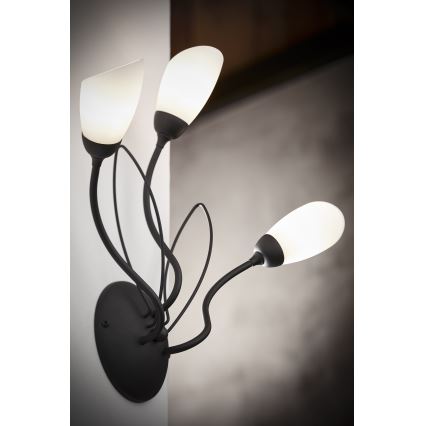 Jupiter 2059 - Sieninis šviestuvas GLORIOSA 3xG9/14W/230V juodas