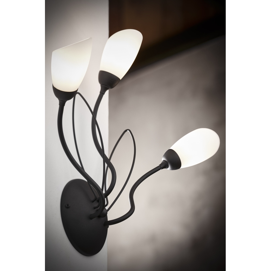 Jupiter 2059 - Sieninis šviestuvas GLORIOSA 3xG9/14W/230V juodas