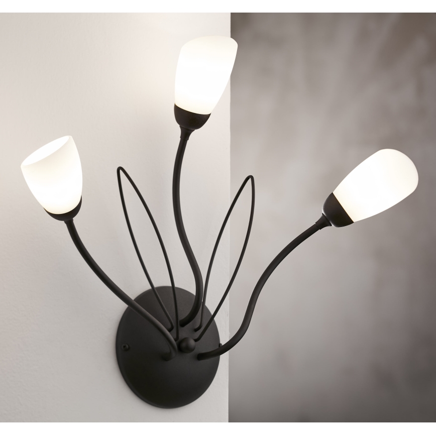 Jupiter 2059 - Sieninis šviestuvas GLORIOSA 3xG9/14W/230V juodas