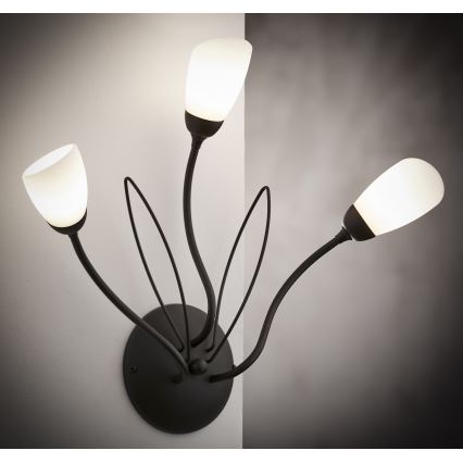 Jupiter 2059 - Sieninis šviestuvas GLORIOSA 3xG9/14W/230V juodas