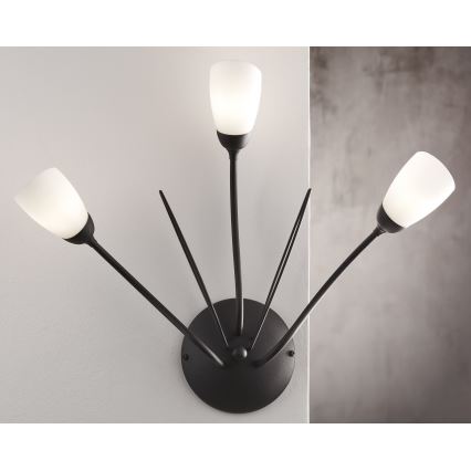 Jupiter 2059 - Sieninis šviestuvas GLORIOSA 3xG9/14W/230V juodas