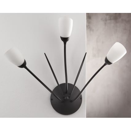 Jupiter 2059 - Sieninis šviestuvas GLORIOSA 3xG9/14W/230V juodas