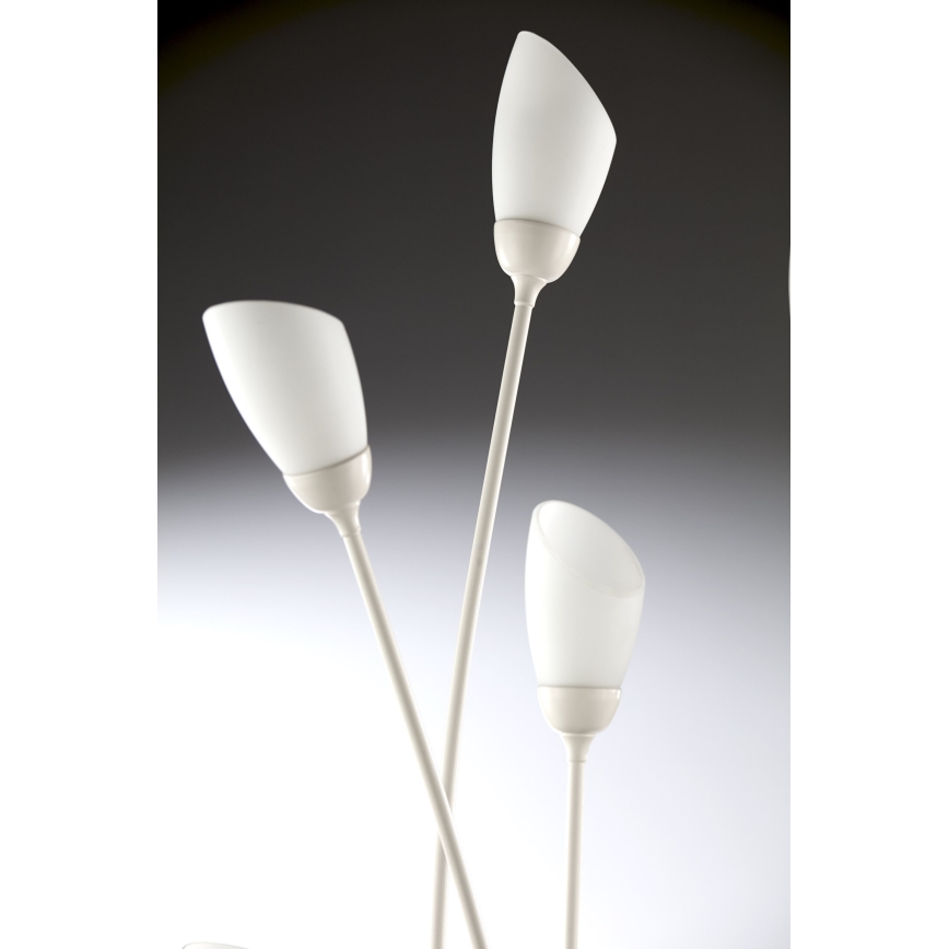 Jupiter 2063 - Grindinis šviestuvas GLORIOSA 9xG9/14W/230V, kreminės spalvos