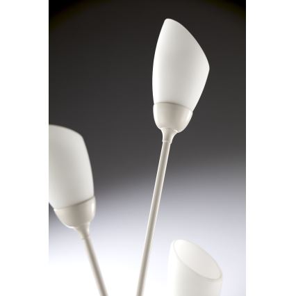 Jupiter 2063 - Grindinis šviestuvas GLORIOSA 9xG9/14W/230V, kreminės spalvos