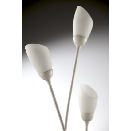 Jupiter 2063 - Grindinis šviestuvas GLORIOSA 9xG9/14W/230V, kreminės spalvos