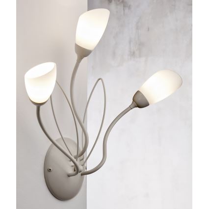 Jupiter 2064 - Sieninis šviestuvas GLORIOSA 3xG9/14W/230V kremo spalvos