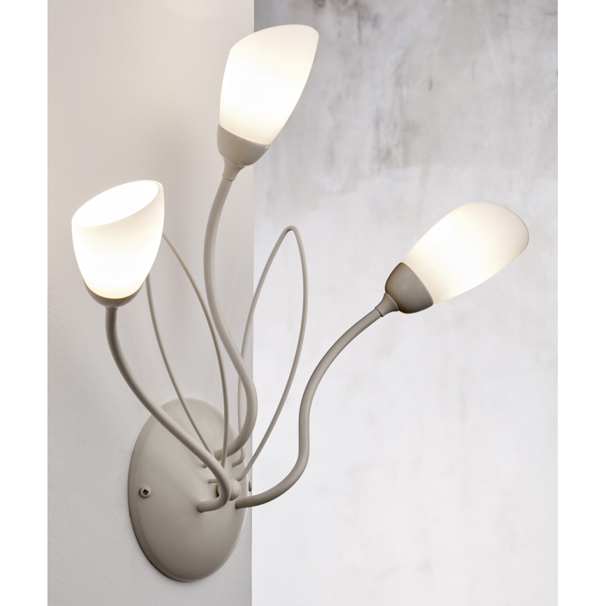 Jupiter 2064 - Sieninis šviestuvas GLORIOSA 3xG9/14W/230V kremo spalvos