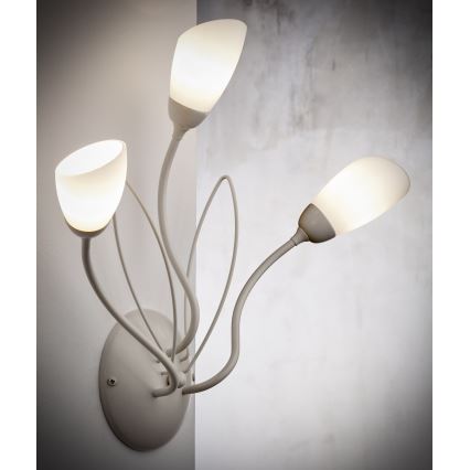 Jupiter 2064 - Sieninis šviestuvas GLORIOSA 3xG9/14W/230V kremo spalvos