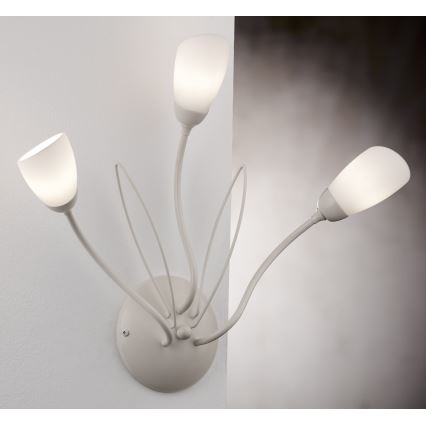 Jupiter 2064 - Sieninis šviestuvas GLORIOSA 3xG9/14W/230V kremo spalvos