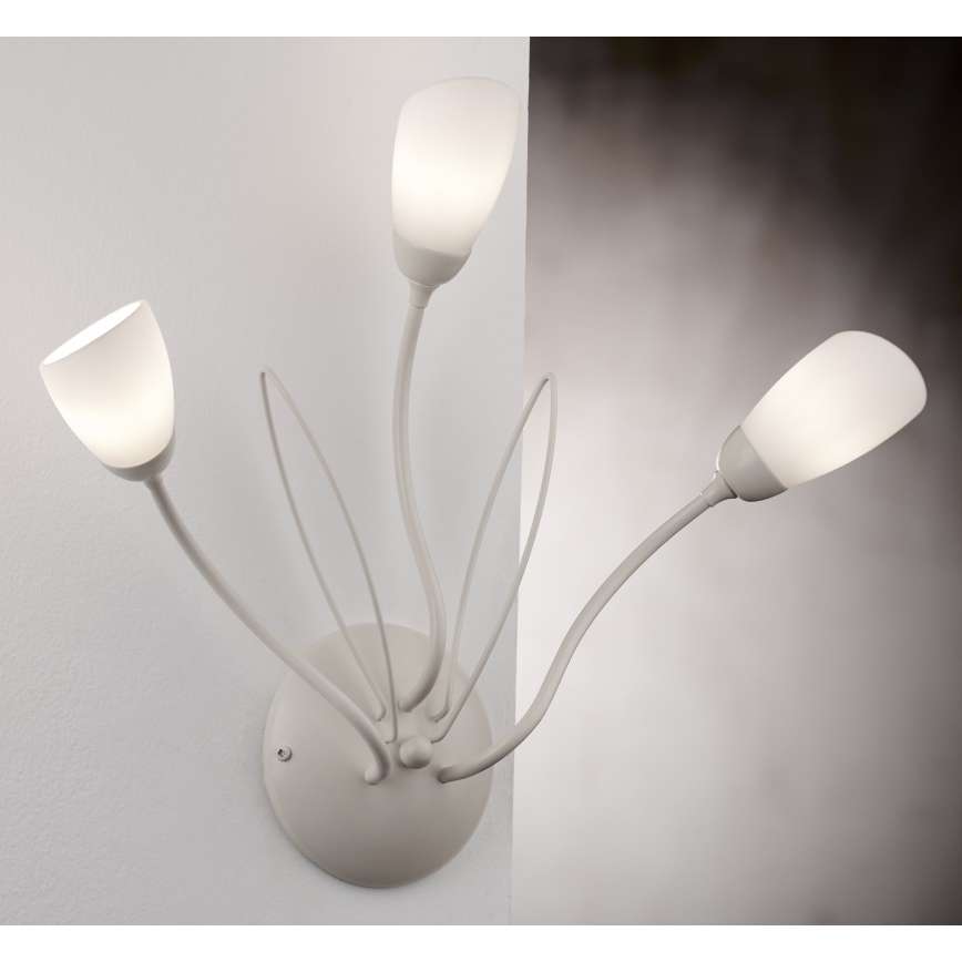 Jupiter 2064 - Sieninis šviestuvas GLORIOSA 3xG9/14W/230V kremo spalvos