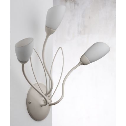 Jupiter 2064 - Sieninis šviestuvas GLORIOSA 3xG9/14W/230V kremo spalvos