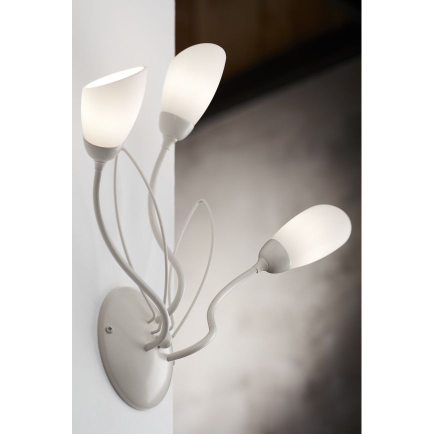 Jupiter 2064 - Sieninis šviestuvas GLORIOSA 3xG9/14W/230V kremo spalvos