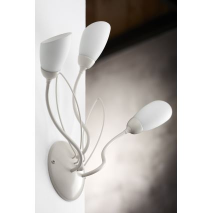 Jupiter 2064 - Sieninis šviestuvas GLORIOSA 3xG9/14W/230V kremo spalvos