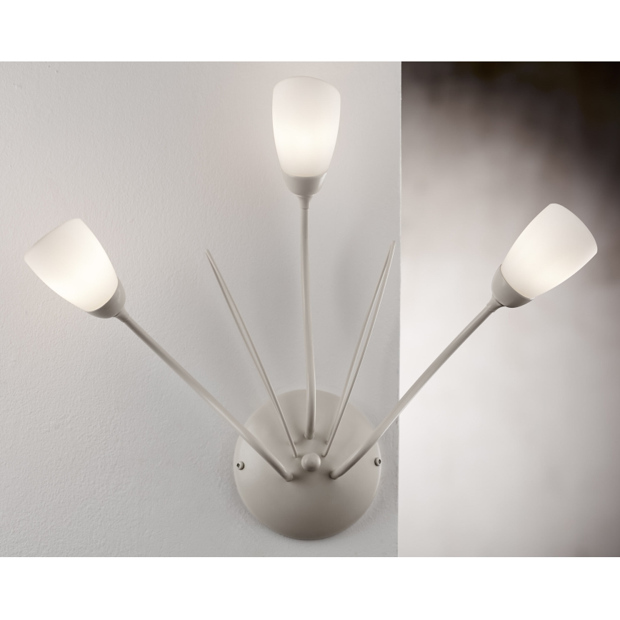 Jupiter 2064 - Sieninis šviestuvas GLORIOSA 3xG9/14W/230V kremo spalvos