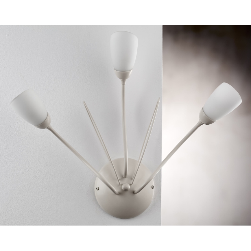 Jupiter 2064 - Sieninis šviestuvas GLORIOSA 3xG9/14W/230V kremo spalvos