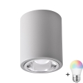 JUPITER LED RGBW точковий світильник диммер 1xE27/6,5W/230V 2700-6500K Wi-Fi діаметр 9,8 см сірий