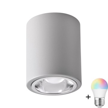 JUPITER LED RGBW точковий світильник диммер 1xE27/6,5W/230V 2700-6500K Wi-Fi діаметр 9,8 см сірий