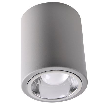 JUPITER LED RGBW точковий світильник диммер 1xE27/6,5W/230V 2700-6500K Wi-Fi діаметр 9,8 см сірий