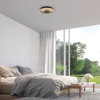 JUST LIGHT. 14409-21 - LED lubų šviestuvas GLITTY LED/22W/230V skers. 40 cm juoda