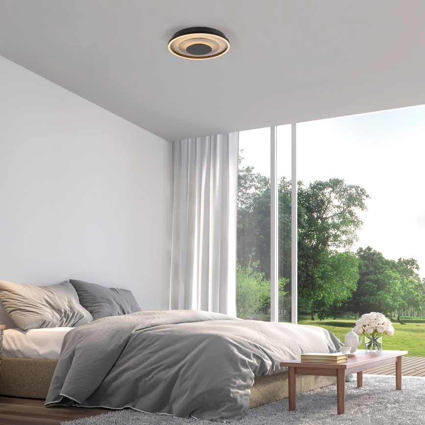 JUST LIGHT. 14409-21 - LED lubų šviestuvas GLITTY LED/22W/230V skers. 40 cm juoda