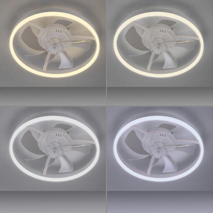 JUST LIGHT. 14624-16 - Dimeriuojamas LED lubų ventiliatorius su apšvietimu RITA LED/22W/230V 3000-6000K Ø 50 cm, balta + nuotolinis valdymas