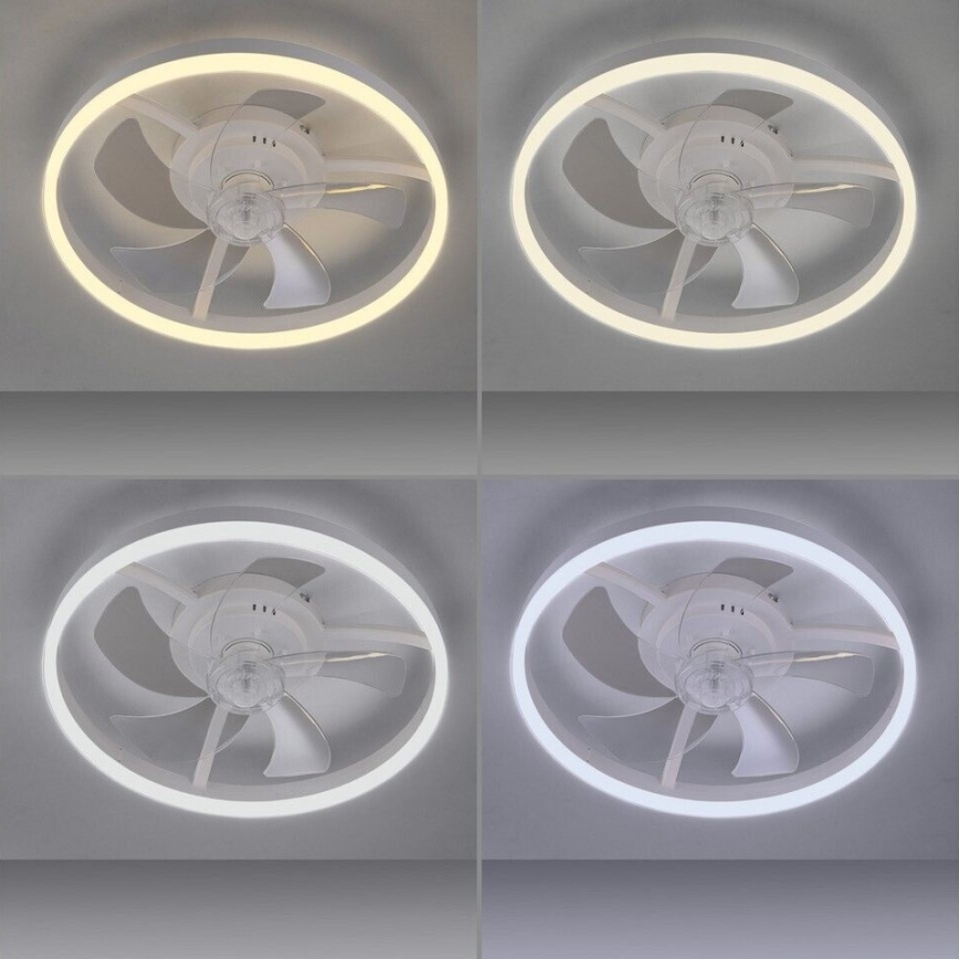 JUST LIGHT. 14624-16 - Dimeriuojamas LED lubų ventiliatorius su apšvietimu RITA LED/22W/230V 3000-6000K Ø 50 cm, balta + nuotolinis valdymas