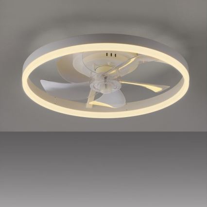 JUST LIGHT. 14624-16 - Dimeriuojamas LED lubų ventiliatorius su apšvietimu RITA LED/22W/230V 3000-6000K Ø 50 cm, balta + nuotolinis valdymas