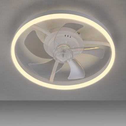 JUST LIGHT. 14624-16 - Dimeriuojamas LED lubų ventiliatorius su apšvietimu RITA LED/22W/230V 3000-6000K Ø 50 cm, balta + nuotolinis valdymas