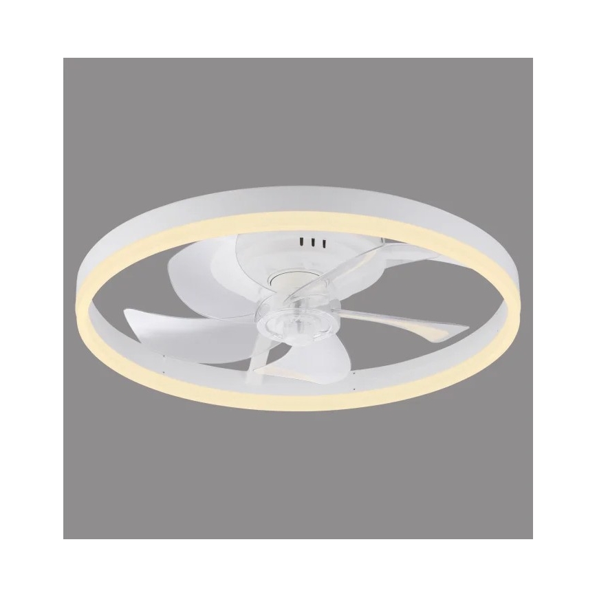 JUST LIGHT. 14624-16 - Dimeriuojamas LED lubų ventiliatorius su apšvietimu RITA LED/22W/230V 3000-6000K Ø 50 cm, balta + nuotolinis valdymas
