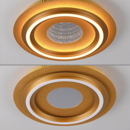 JUST LIGHT. 15089-60 - LED lubinis šviestuvas CICHIO LED/36W/230V, skersmuo 40 cm, aukso spalvos