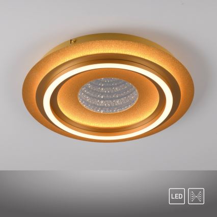 JUST LIGHT. 15089-60 - LED lubinis šviestuvas CICHIO LED/36W/230V, skersmuo 40 cm, aukso spalvos